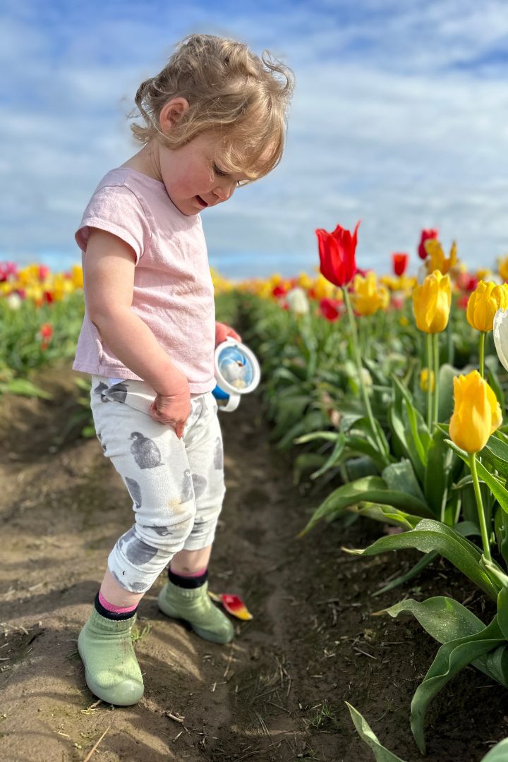 Discover the Best Water-Resistant Sock Shoes for Hiking and Camping With Your Little One – The Ultimate Guide